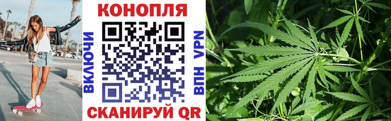 ГАШИШ Городище