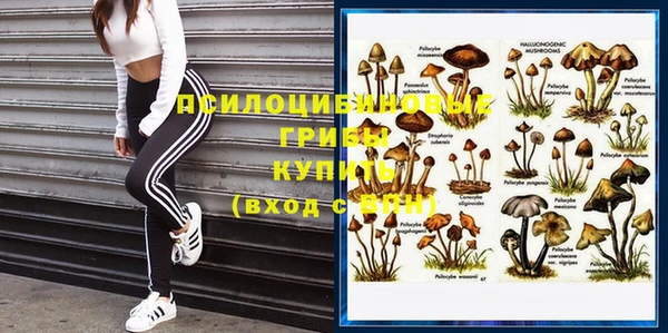 прущие крисы Богородицк