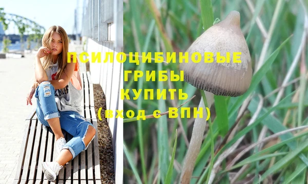 марки nbome Богданович