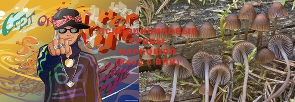 марки nbome Богданович