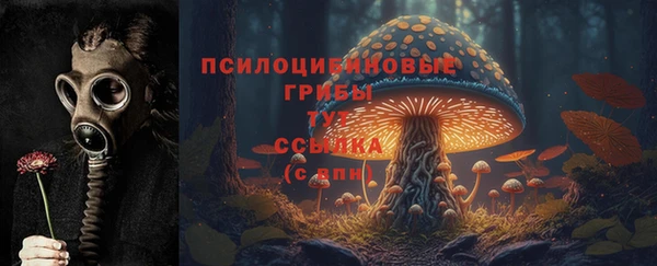 прущие крисы Богородицк